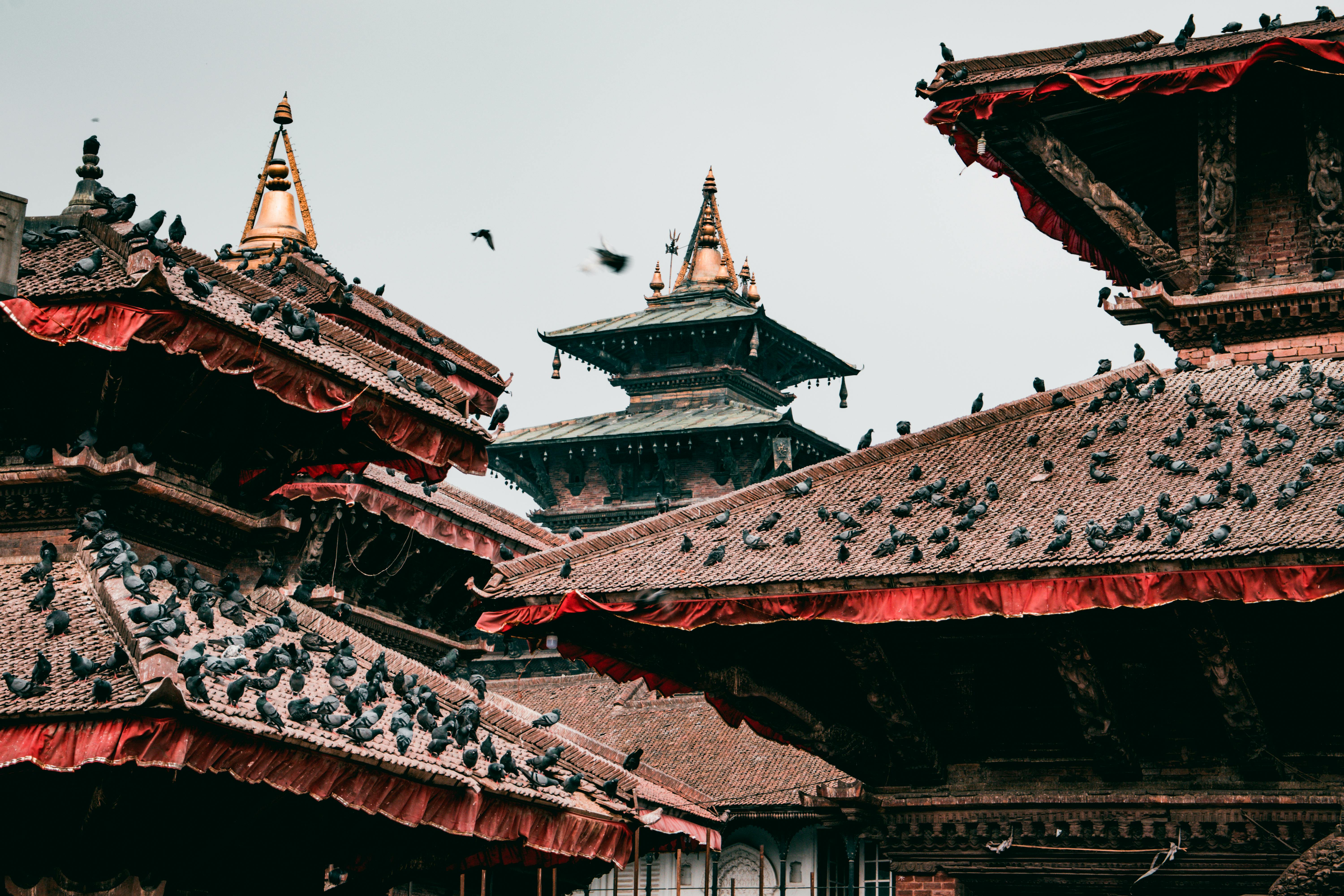 Arrival in Kathmandu (1,400m)