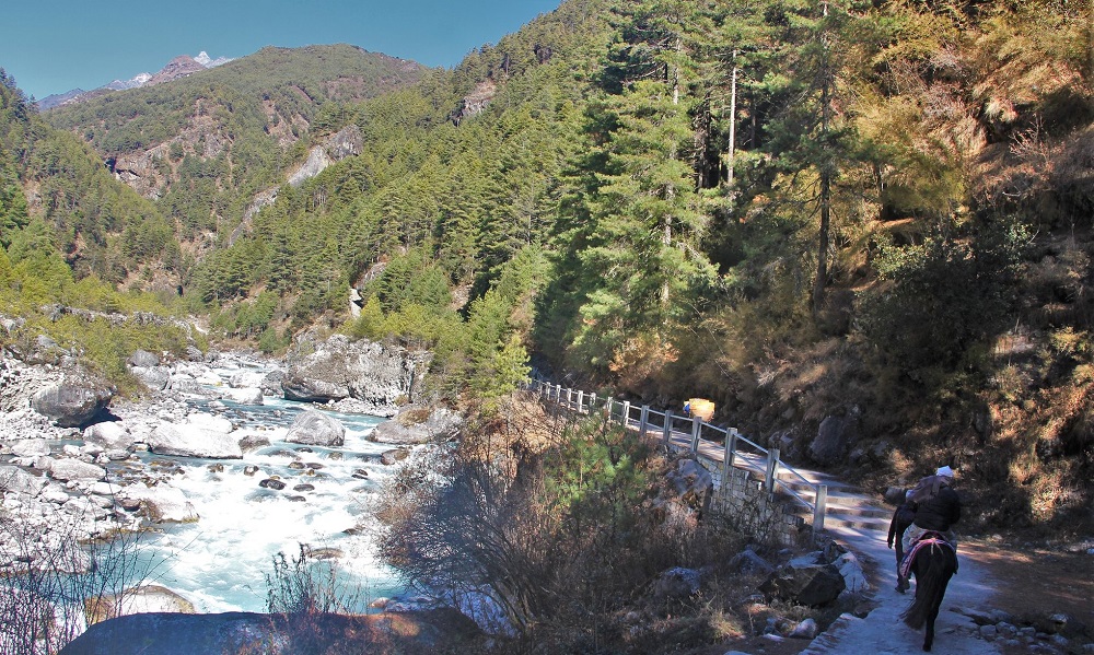 Fly to Lukla (2,860 m), Trek to Phakding (2,610 m)
