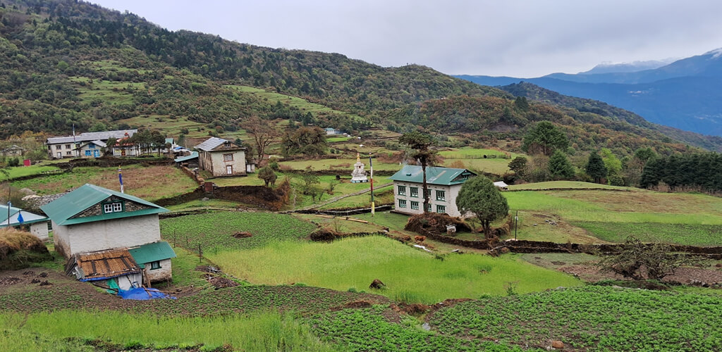 Trek to Panggom (2,846m)