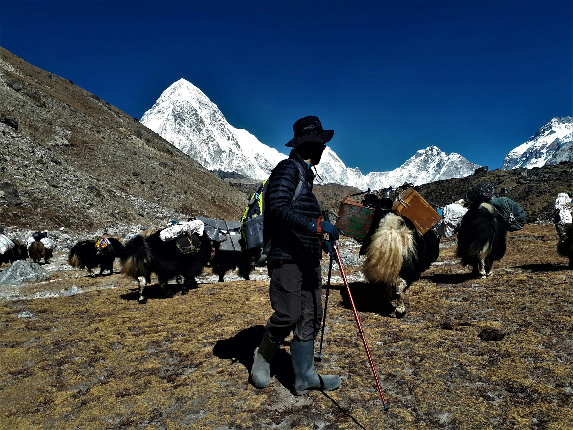 lobuche-east-climbing1