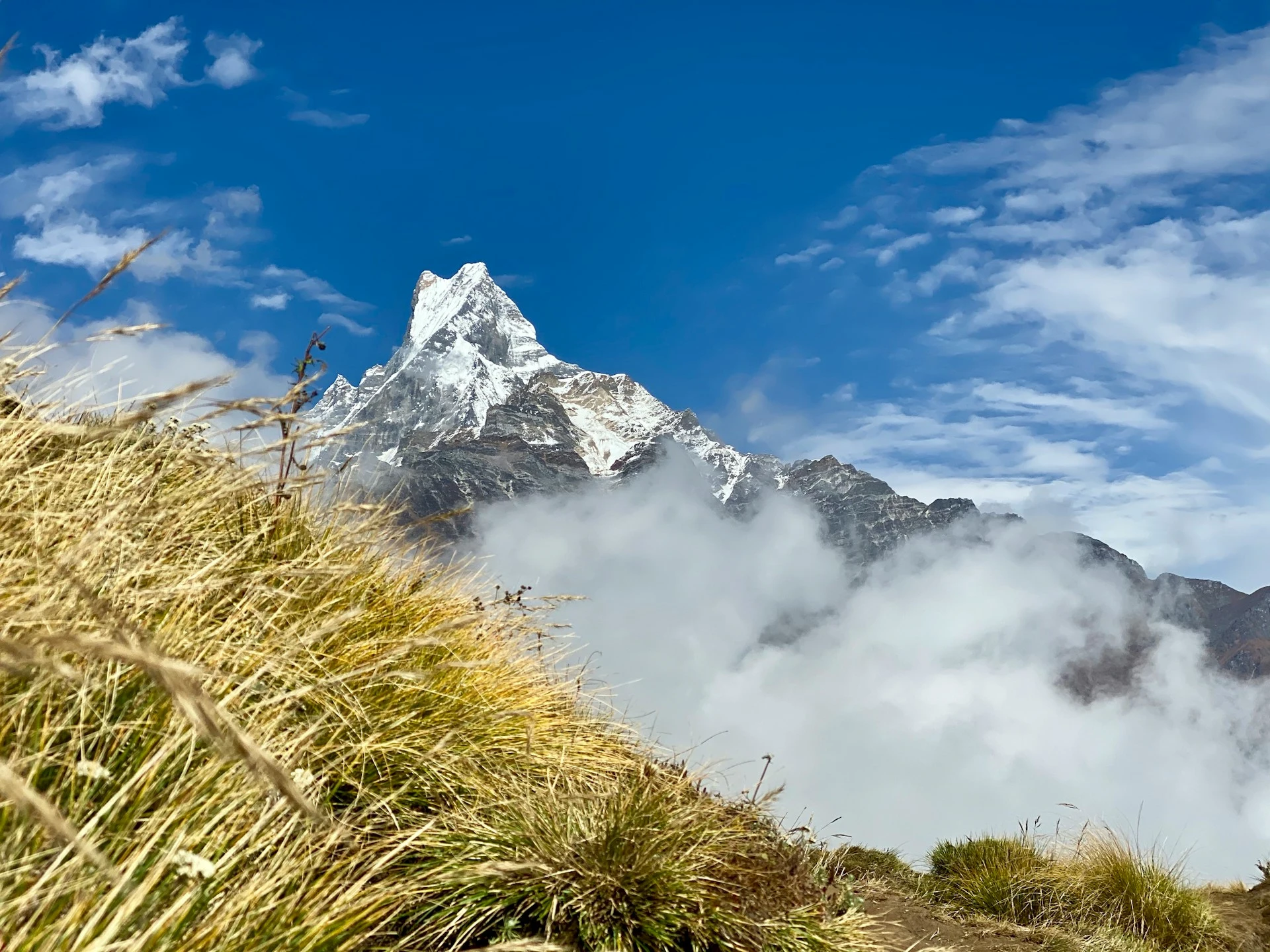 mardi-himal-trail2