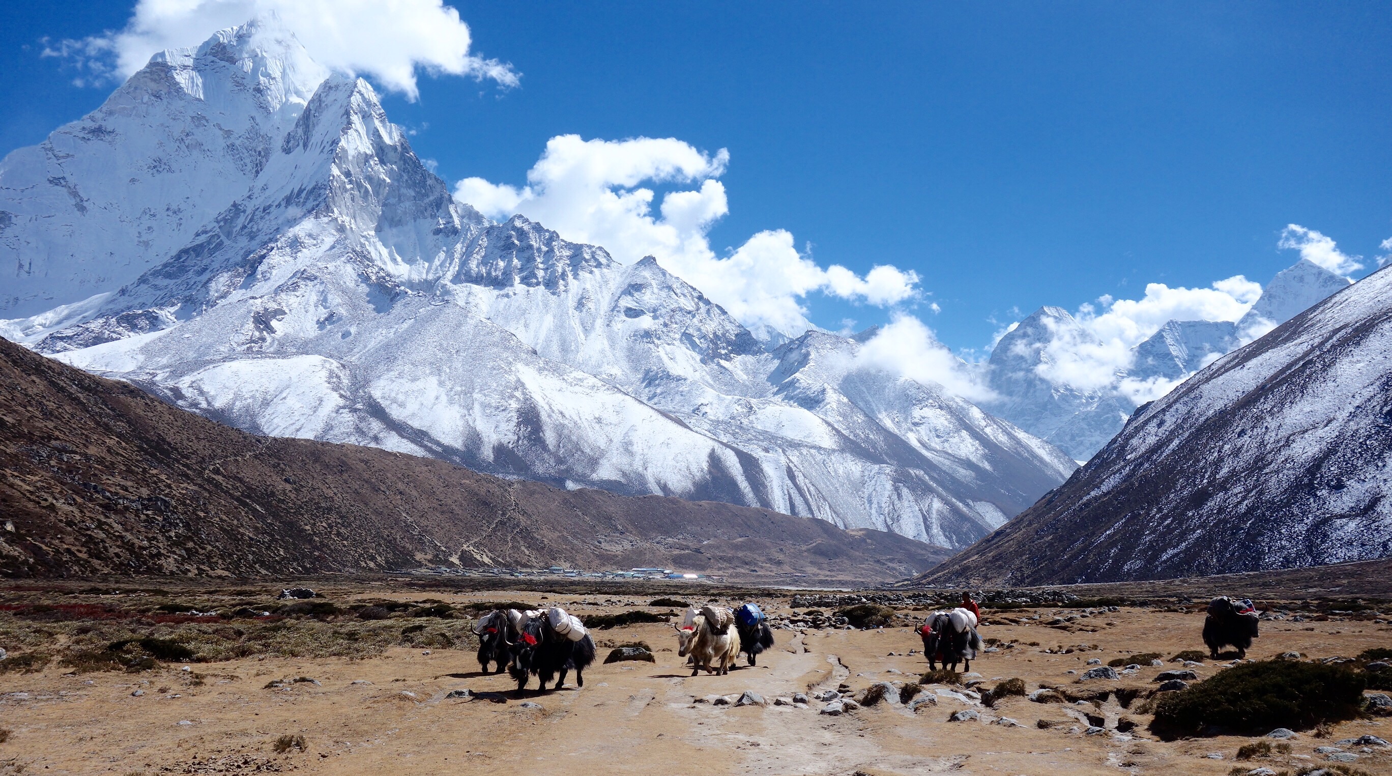 Trek to Pheriche (4,240m)